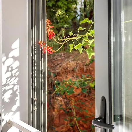 Appartement Cozy Garden Flat *