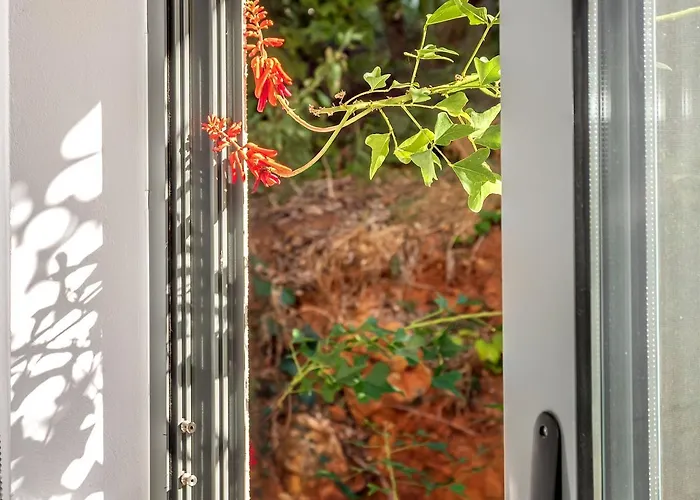 Апартаменты Cozy Garden Flat *